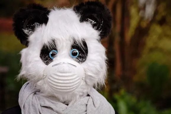 スロッツウィン カジノ サポート